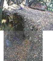 Figure 2. Trail crossing bridge and tunnel beneath.