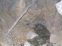 Figure 5. The spring emerging from the rock.