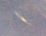 enhanced pix of normal fairy shrimp with eggs
