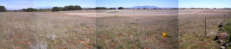 small vernal pool next to vp trailhead at srp