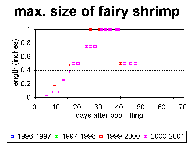 plot of the maximum length of fairy shrimp vs. time since 1996